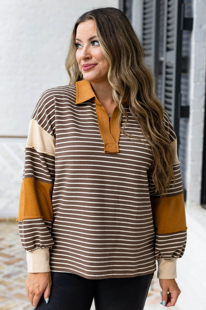 Brown Stripe Colorblock Detail Collar V Neck Plus Size Long Sleeve Top