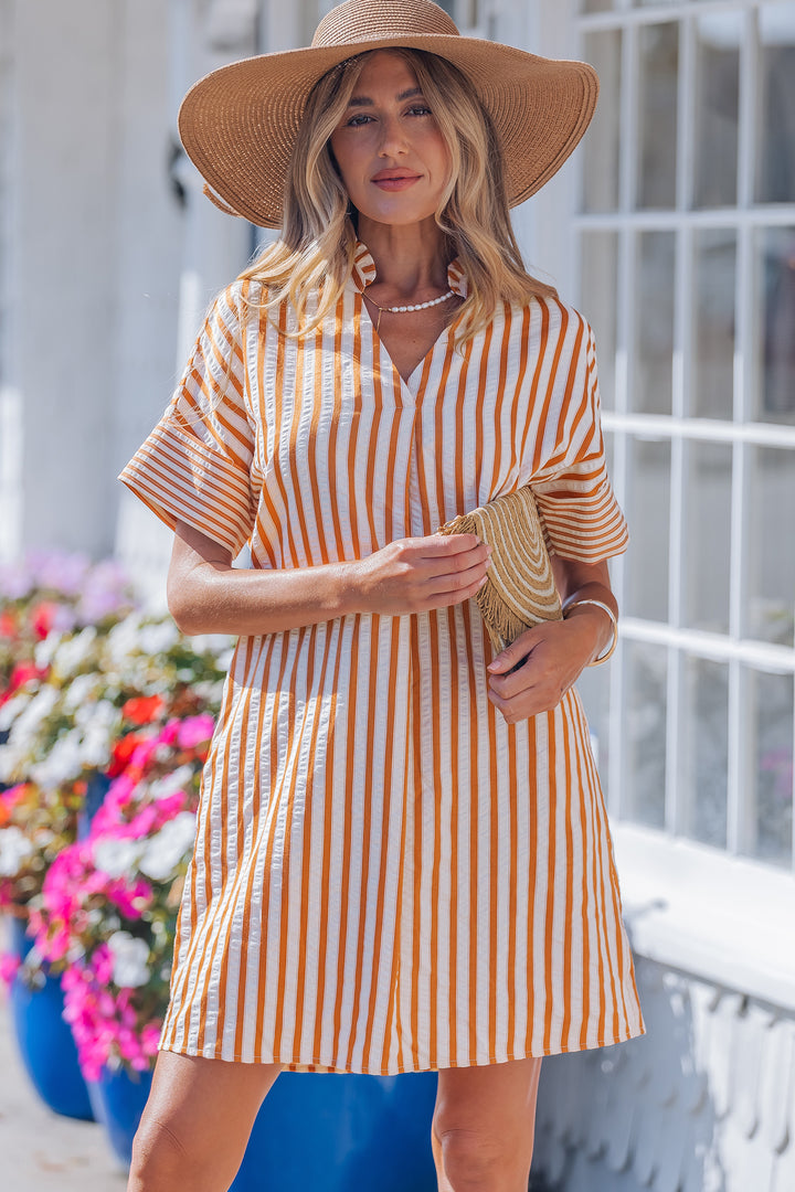 Brown Stripe Pinched V Neck Turn-up Cuffs Shift Mini Dress