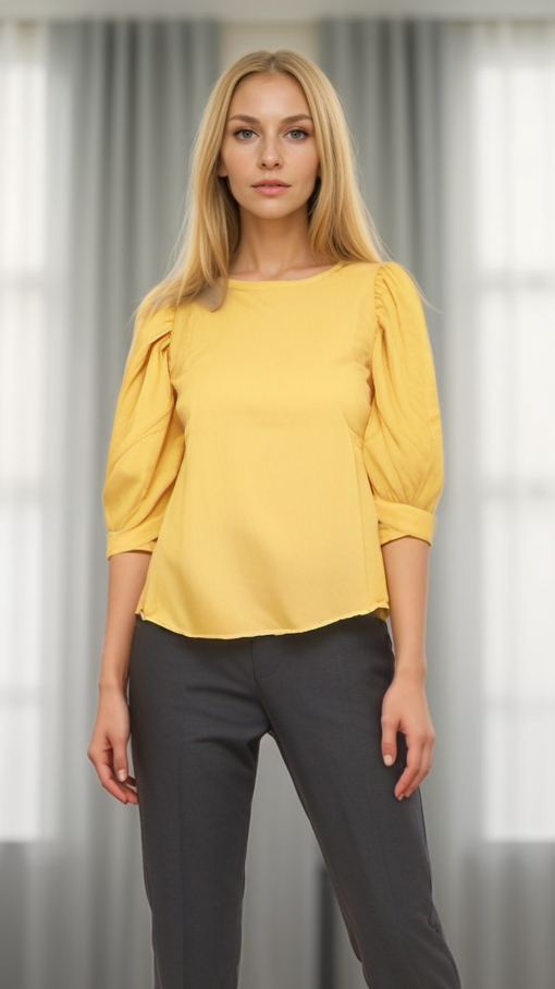 Formal Chiffon 3/4th Sleeve Style Top | Women